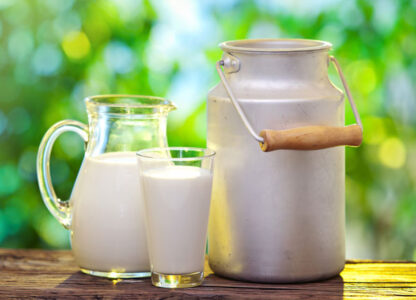 Wisconsin Dairy Farmer Is Latest Target in Food Sovereignty Battle Image